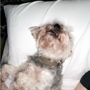 Meet your Posher, Aaliyah